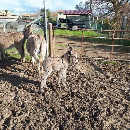San Costanzo Vacanze Διαμέρισμα Parrano
