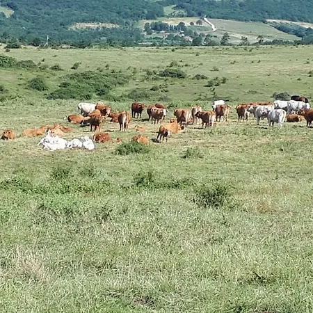 Appartement San Costanzo Vacanze