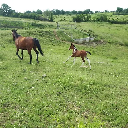 Appartement San Costanzo Vacanze Parrano
